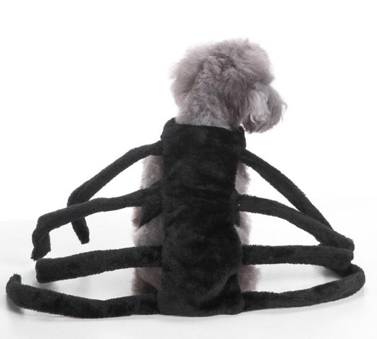 Spider Dog Halloween Pet Costume